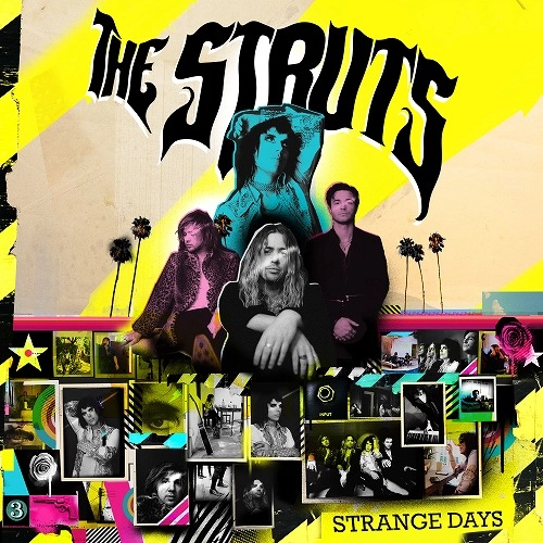 STRUTS / ストラッツ / ストレンジ・デイズ / STRANGE DAYS