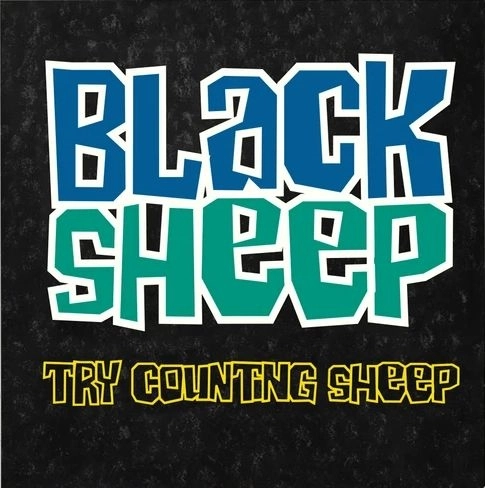 BLACK SHEEP / ブラック・シープ / TRY COUNTING SHEEP