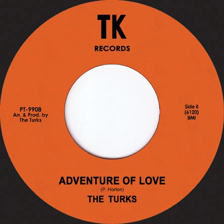 TURKS / ADVENTURE OF LOVE / FIRE