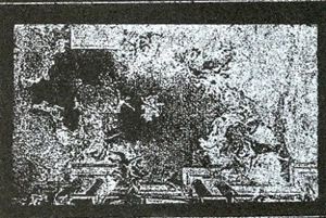 FUMIO KOSAKAI / 小堺文雄 / WARM GARDEN