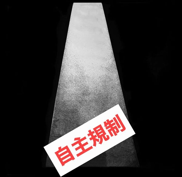 WHITEHOUSE / ホワイトハウス / ERECTOR (LEGACY RE-ISSUE)