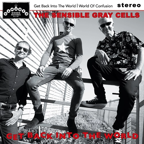 SENSIBLE GRAY CELLS / GET BACK INTO THE WORLD (7")