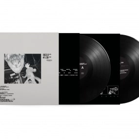 VEGYN / ヴィーガン / ONLY DIAMONDS CUT DIAMONDS (STANDARD EDITION) (2LP)