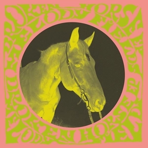 MELODY FIELDS / BROKEN HORSE
