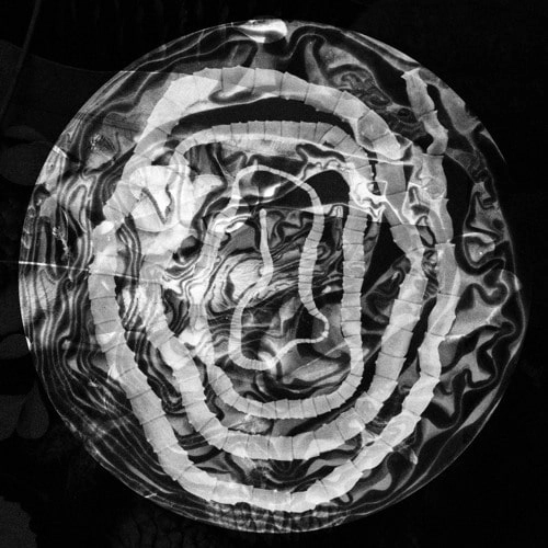 YSSUE / NATURALIST EP