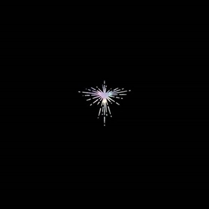 KAREN O & DANGER MOUSE / カレン・O&デンジャー・マウス / LUX PRIMA