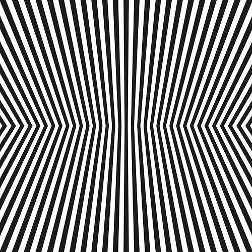 THE VACANT LOTS / DAMAGE CONTROL (CD)