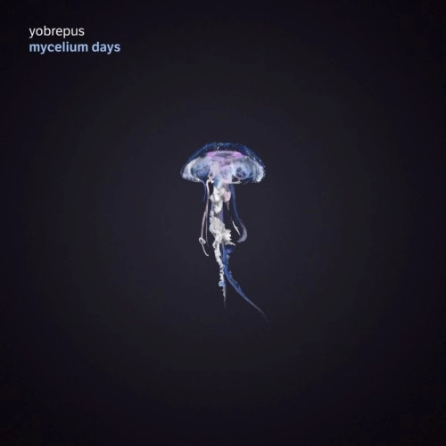 YOBREPUS / MYCELIUM DAYS: 180g LIMITED VINYL