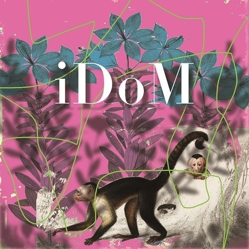 am8 / iDoM