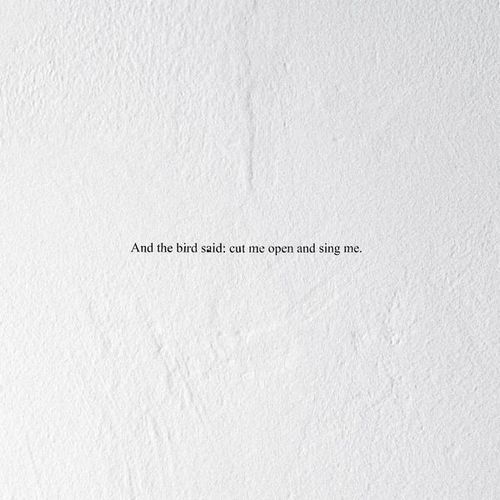 PRAIRIE / AND THE BIRD SAID: CUT ME OPEN AND SING ME (CD)