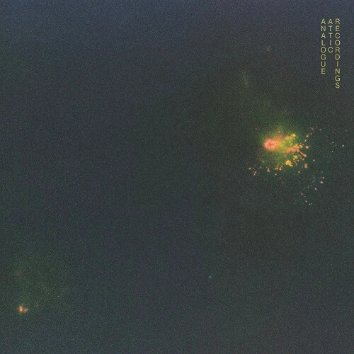 CITIZEN MAZE / NORTHERN ANGELIQUE