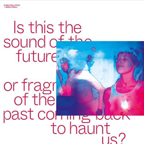 V.A.(Peder Mannerfelt, Forest Drive West, Christoph De Babalon, ZULI, etc.) / EVIDENT WARE PT.01