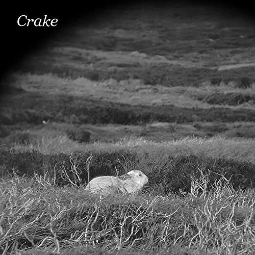 CRAKE / ENOUGH SALT (FOR ALL DOGS)
