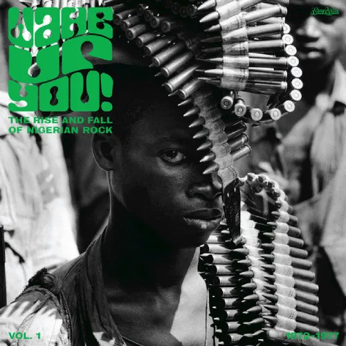 V.A. (WAKE UP YOU) / オムニバス / WAKE UP YOU! VOL.1: THE RISE AND FALL OF NIGERIAN ROCK MUSIC 1972-1977