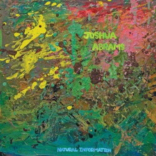 JOSHUA ABRAMS  / ジョシュア・エイブラムス / NATURAL INFORMATION