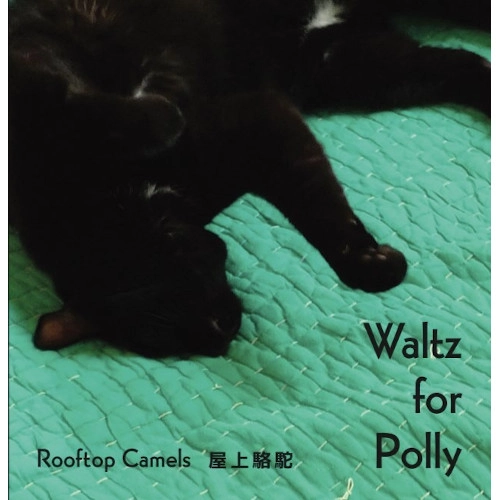 Rooftop Camels / ルーフトップ・キャメルズ 屋上駱駝 / Waltz For Polly / ワルツ･フォー･ポリ