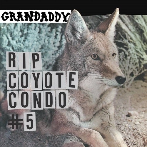 GRANDADDY / グランダディ / RIP COYOTE CONDO #5 B/W THE FOX IN THE SNOW & IN MY ROOM [12"] / RIP COYOTE CONDO #5 B/W THE FOX IN THE SNOW & IN MY ROOM [12"] 