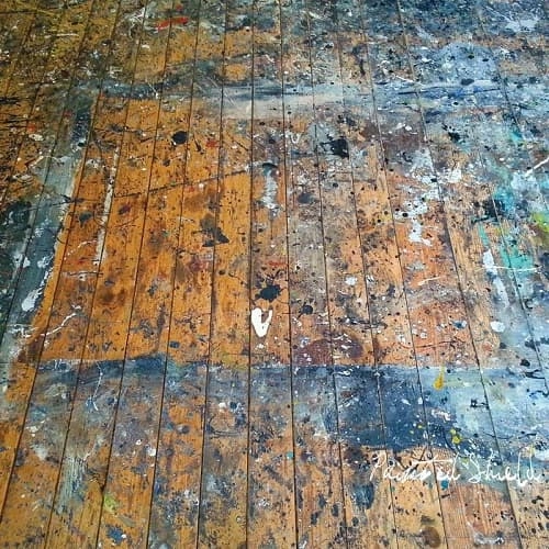 PAINTED SHIELD  / PAINTED SHIELD [LP+7"]