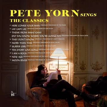 PETE YORN / ピート・ヨーン / PETE YORN SINGS THE CLASSICS [LP] / PETE YORN SINGS THE CLASSICS [LP] 