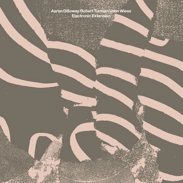 AARON DILLOWAY / ROBERT TURMAN / JOHN WIESE / ELECTRONIC EXTENSION (CD)