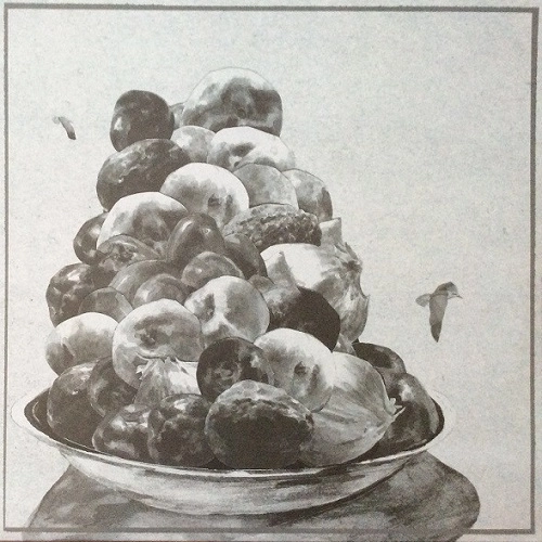 HOP ALONG / ホップ・アロング / PAINTED SHUT