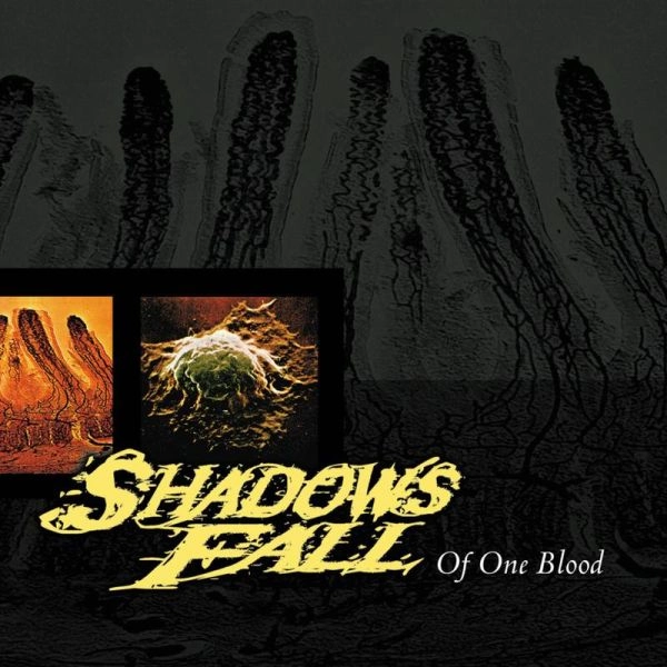 SHADOWS FALL / シャドウズ・フォール / OF ONE BLOOD