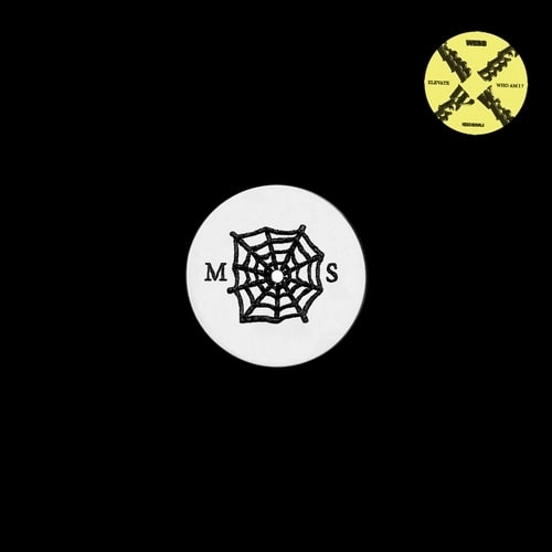 WEBB (CLUB) / ELEVATE