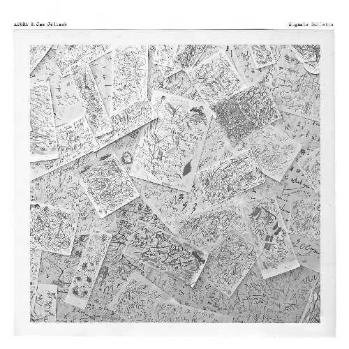 ASUNA & JAN JELINEK / SIGNALS BULLETIN