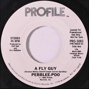 PEBBLEE-POO / FLY GUY