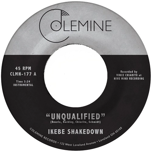 IKEBE SHAKEDOWN / イーケイベイ・シェイクダウン / UNQUALIFIED / HORSES