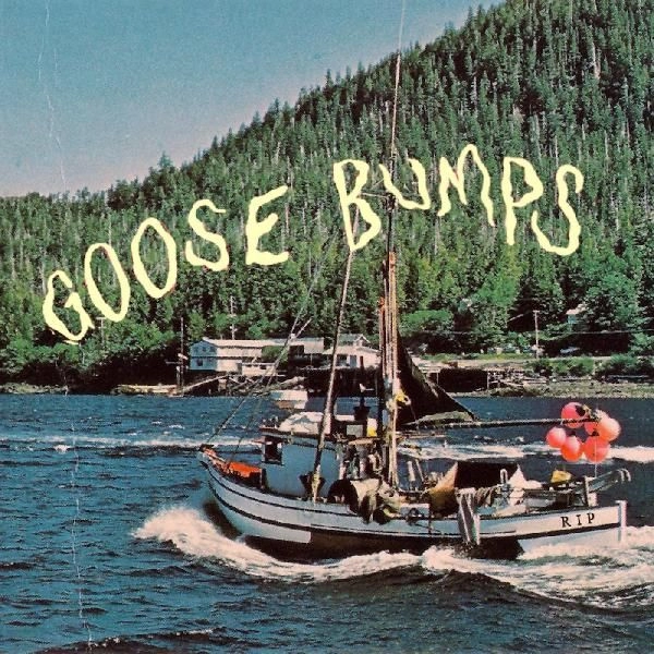 BOYSCOTT / ボーイスコット / GOOSE BUMPS (COLORED VINYL)