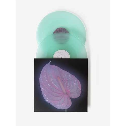 FLORA YIN-WONG / HOLY PALM