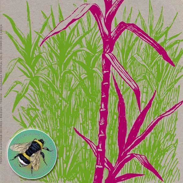 FORRO DE CABECA / フォホー・ヂ・カベッサ / BUGIGANGA TROPICAL VOL.3