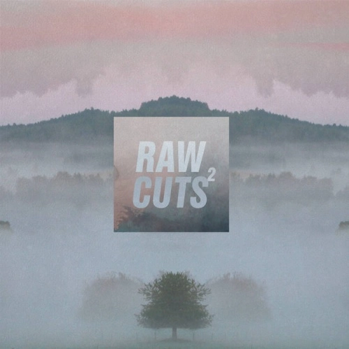 V.A. (CHILLHOP MUSIC) / RAW CUTS 2