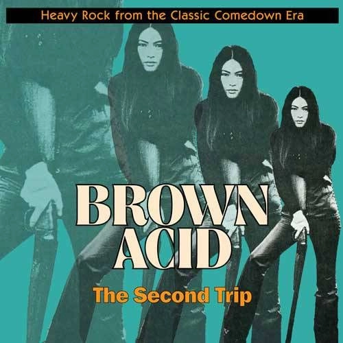 V.A. (BROWN ACID) / BROWN ACID: THE SECOND TRIP / BROWN ACID: THE SECOND TRIP (LP)