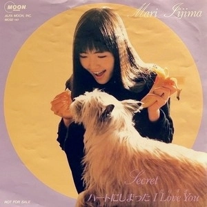 MARI IIJIMA / 飯島真理 / SECRET