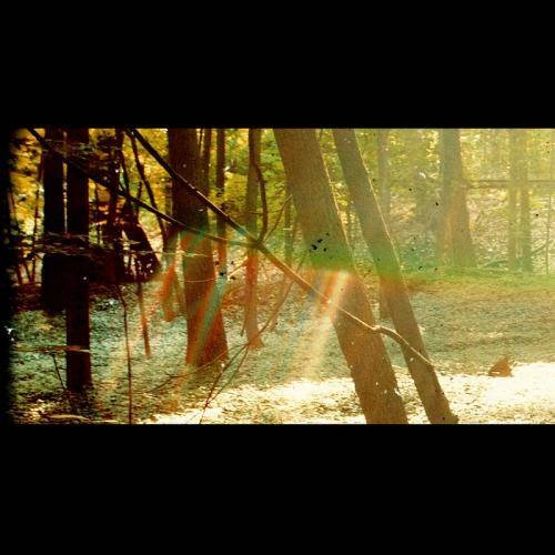 CHILDISH GAMBINO / チャイルディッシュ・ガンビーノ / CAMP (2LP)