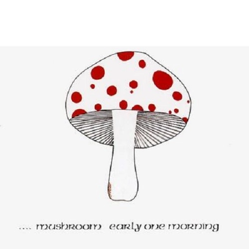 MUSHROOM (PSYCHE FOLK) / マッシュルーム / EARLY ONE MORNING