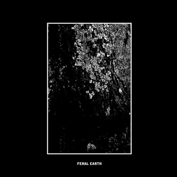 JAAKKO VANHALA / FERAL EARTH