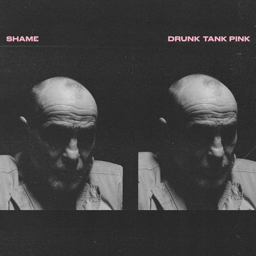 SHAME (INDIE ROCK) / シェイム(INDIE ROCK) / DRUNK TANK PINK (CD) / DRUNK TANK PINK