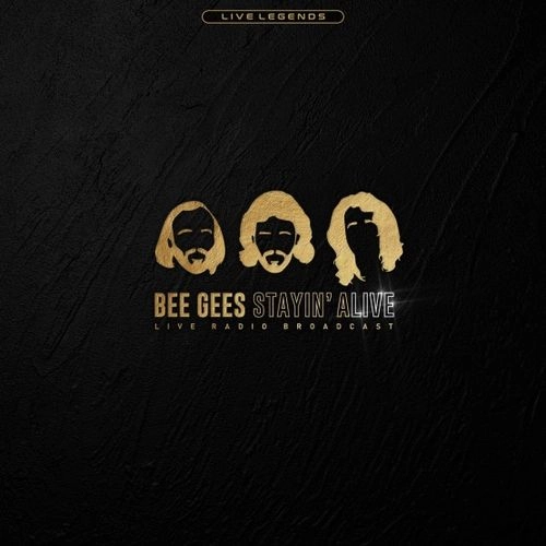 BEE GEES / ビー・ジーズ / STAYIN' ALIVE (LP) / STAYIN' ALIVE