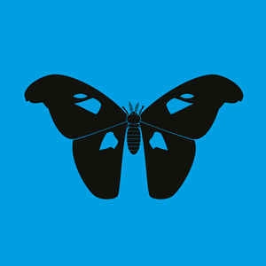 1NC1N / BUTTERFLY EFFECT LP
