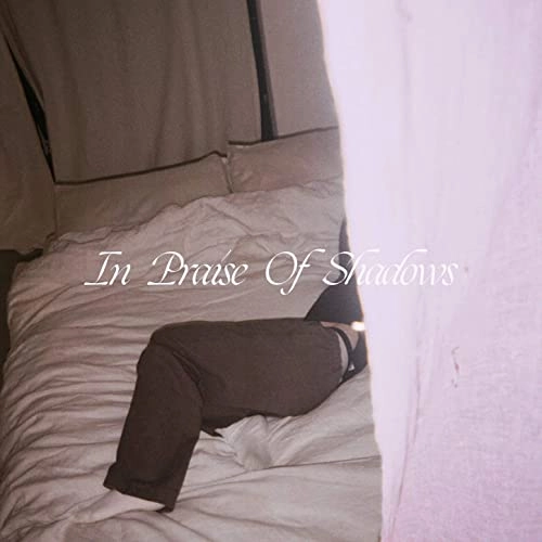 PUMA BLUE / IN PRAISE OF SHADOWS (LP) / IN PRAISE OF SHADOWS