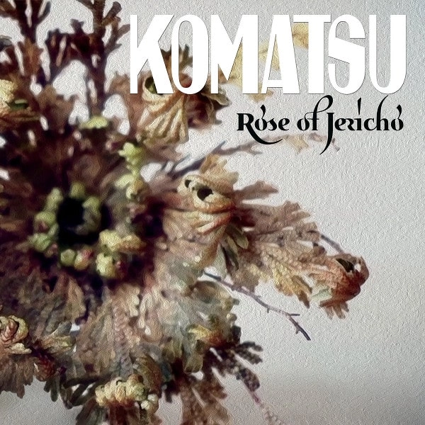 KOMATSU / ROSE OF JERICHO