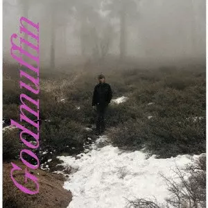 MIKE VIOLA / マイク・ヴァイオラ / ゴッドマフィン / GODMUFFIN