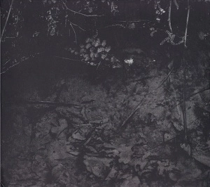 GIANLUCA BECUZZI / IN BETWEEN