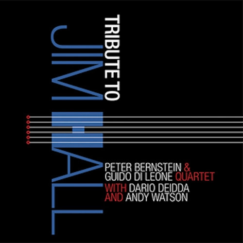 PETER BERNSTEIN / ピーター・バーンスタイン / TRIBUTE TO JIM HALL