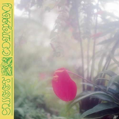 JABU (EXPERIMENTAL) / SWEET COMPANY