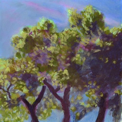 ELI WINTER / THE TIME TO COME (LP) / THE TIME TO COME