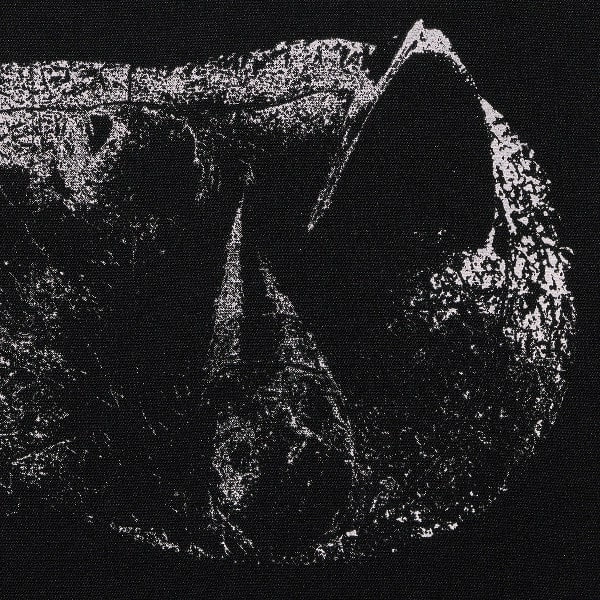 DEMON HEAD / VISCERA
